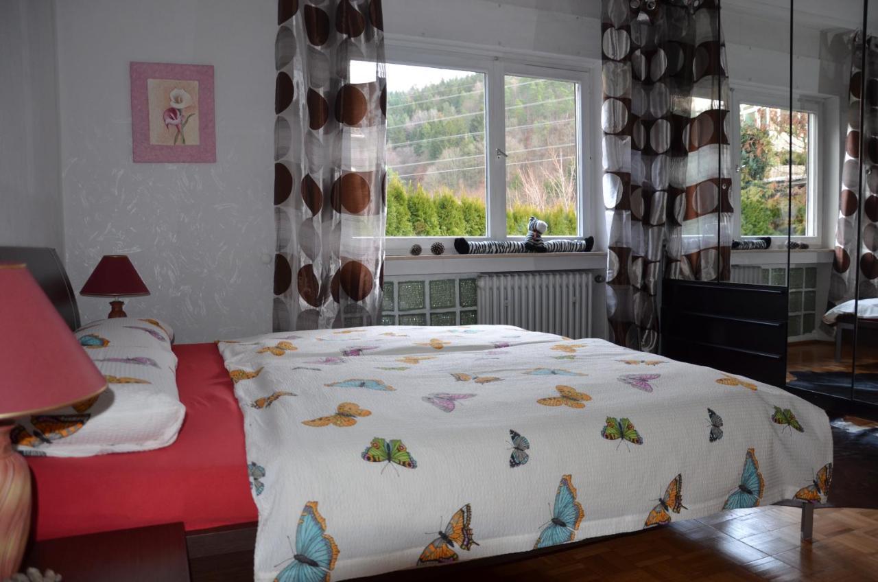 Ferienwohnung Klock Weisenbach Zewnętrze zdjęcie