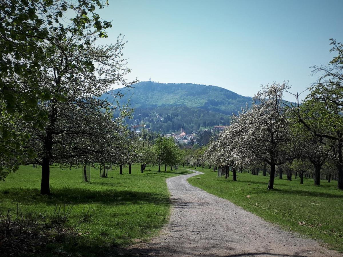 Ferienwohnung Klock Weisenbach Zewnętrze zdjęcie