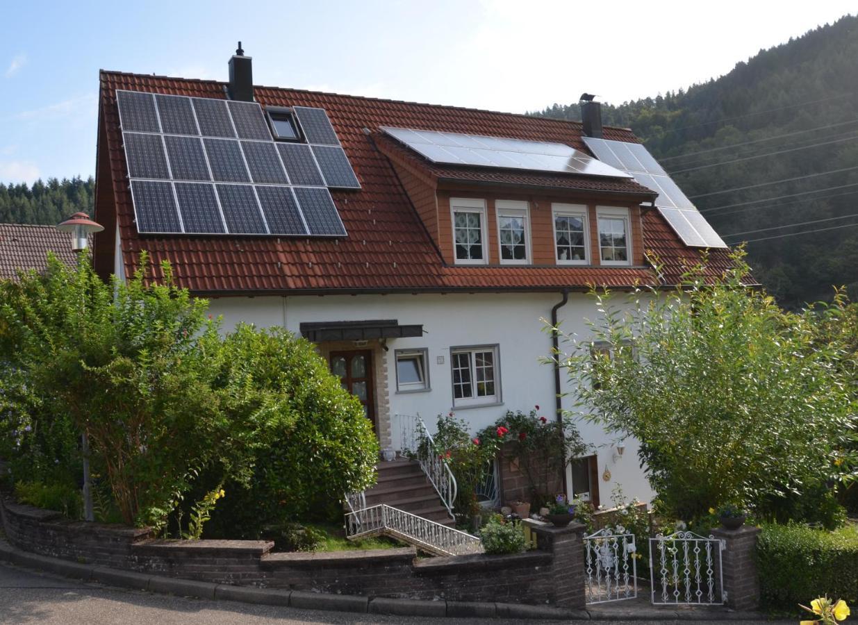 Ferienwohnung Klock Weisenbach Zewnętrze zdjęcie