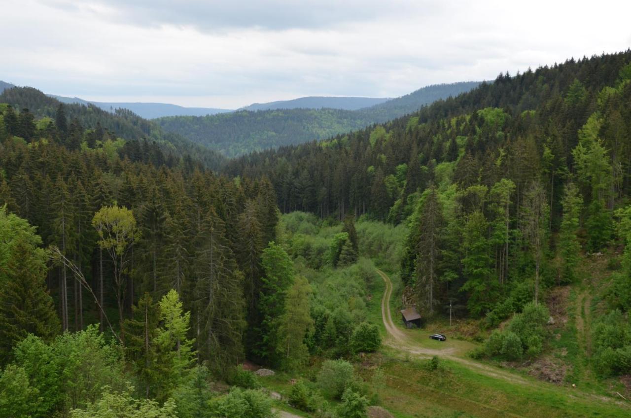Ferienwohnung Klock Weisenbach Zewnętrze zdjęcie